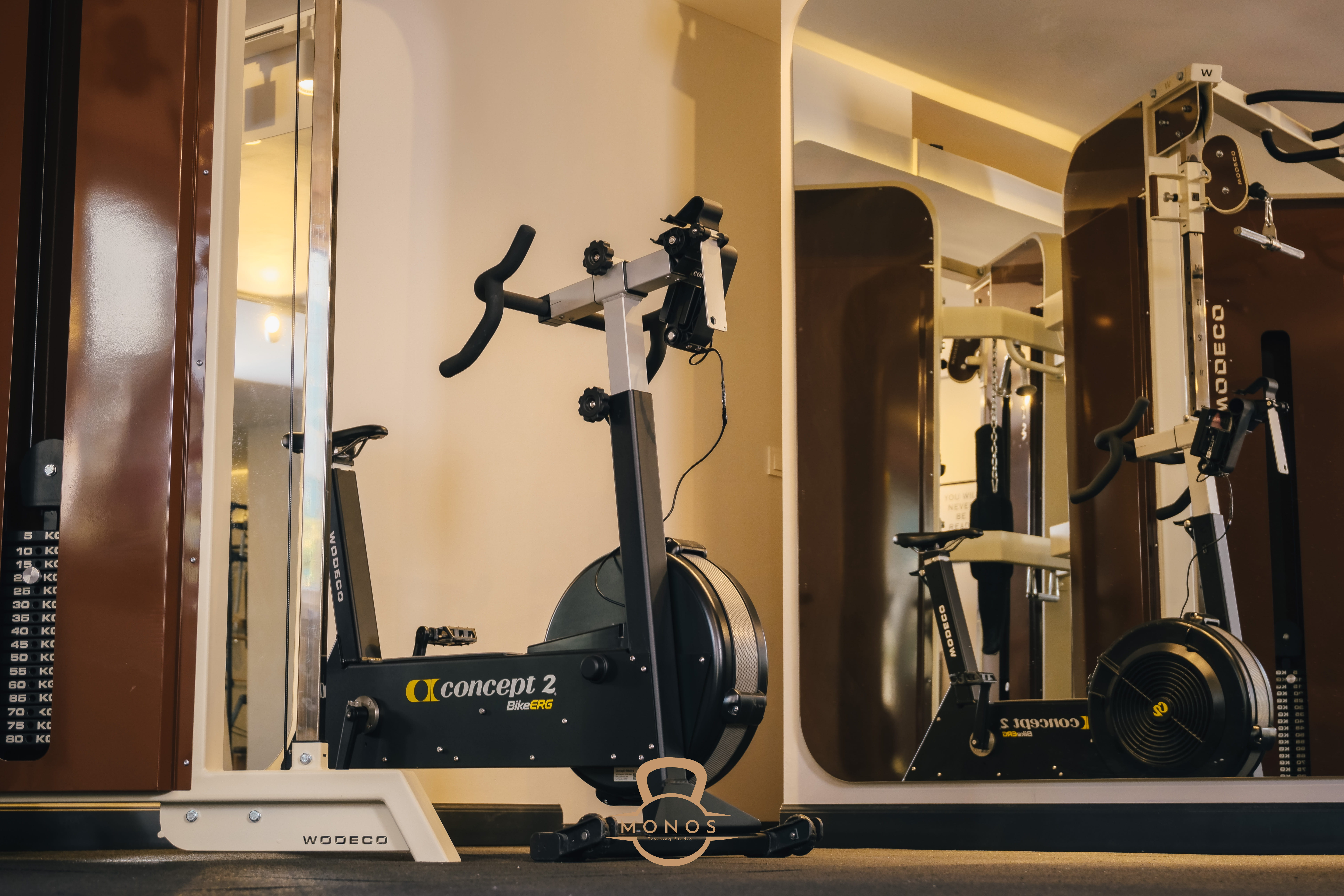 Monos Training Studio - Concept2 BikeERG ve kablo makinesi